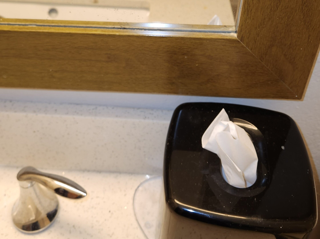 Super 8 by Wyndham Elkins主图