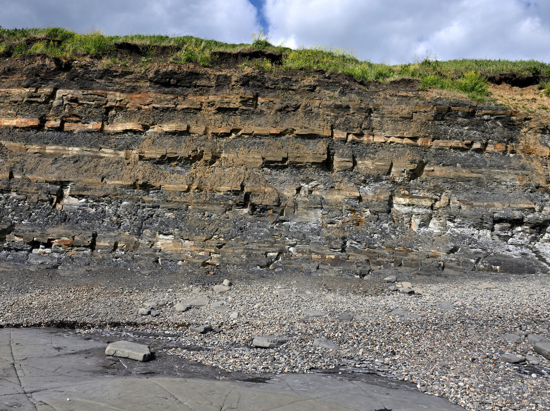 Kimmeridge Bay景点图片