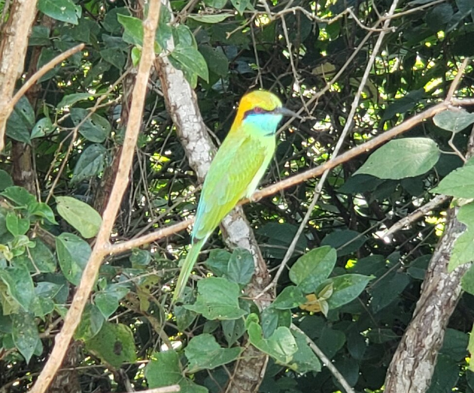 Oneki Tours-蒂瑟默哈拉默必去景点