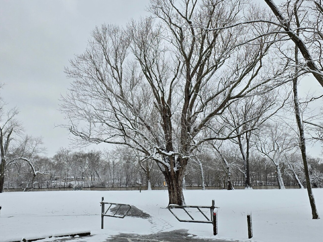 Crains Run Nature Park景点图片