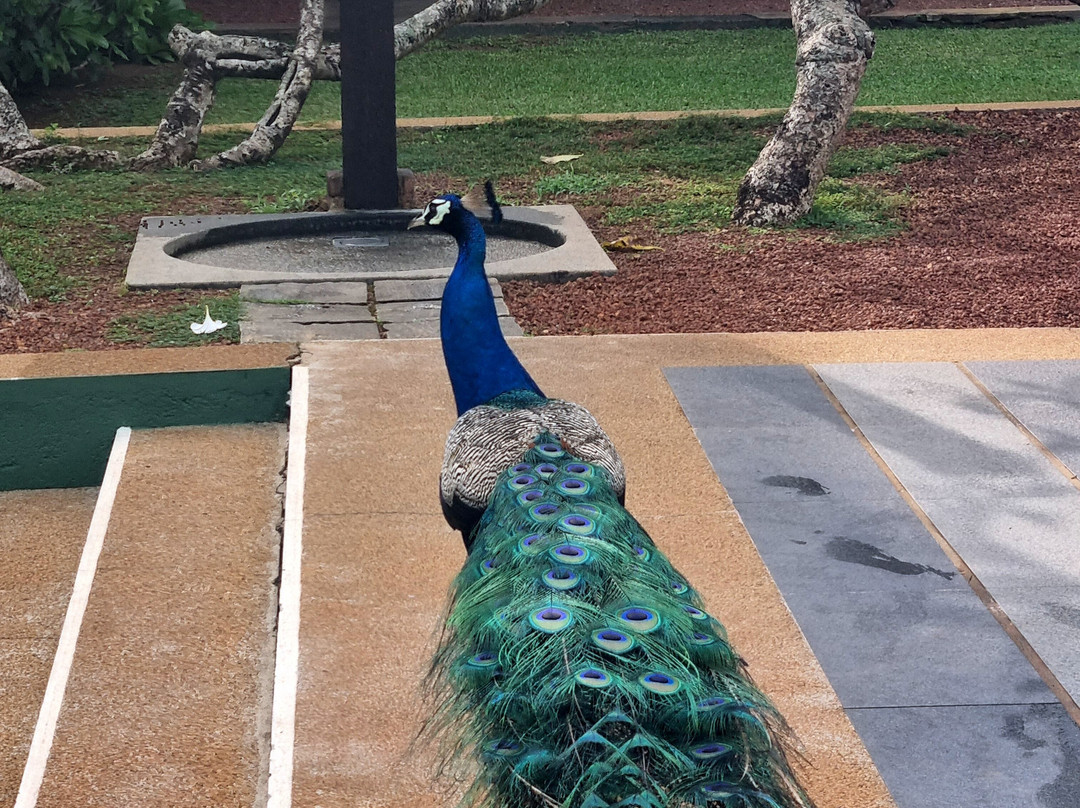 Heritance Ayurveda主图