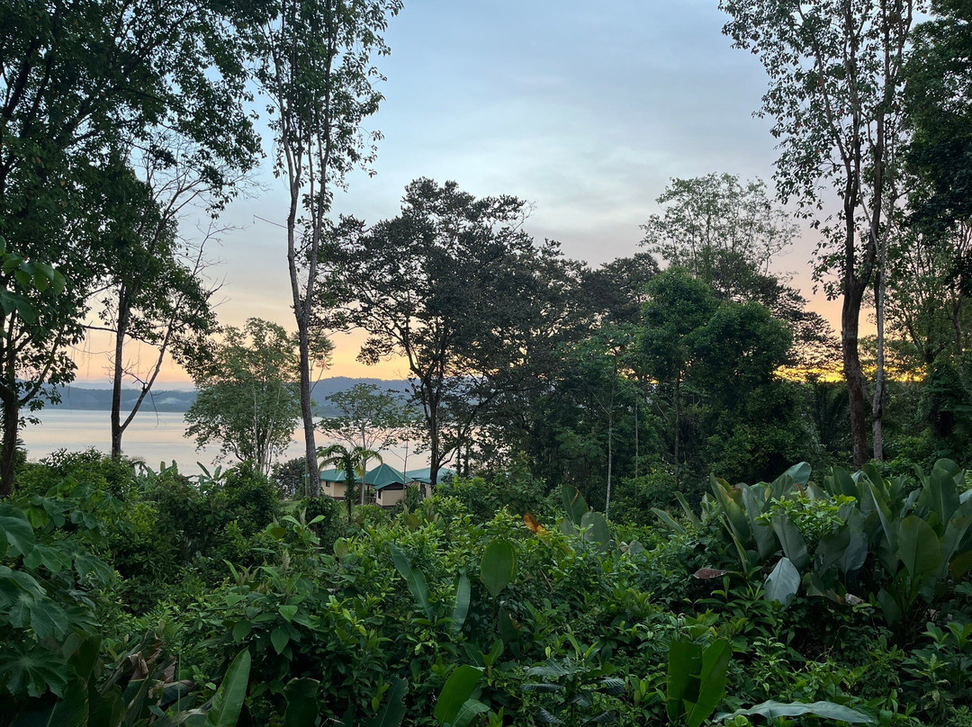 Hotel Jinetes de Osa主图