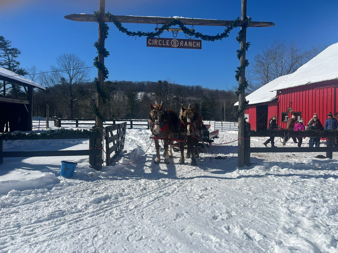 Circle B Ranch-Chestertown必去景点