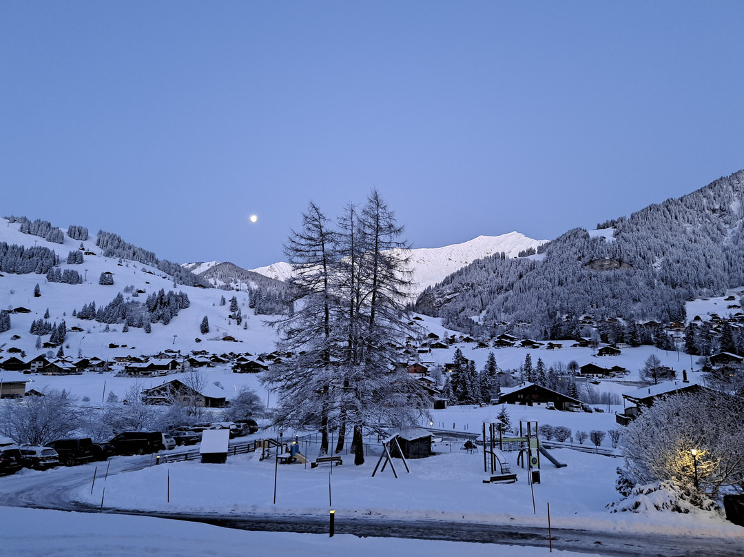 Ferien- und Familienhotel Alpina主图