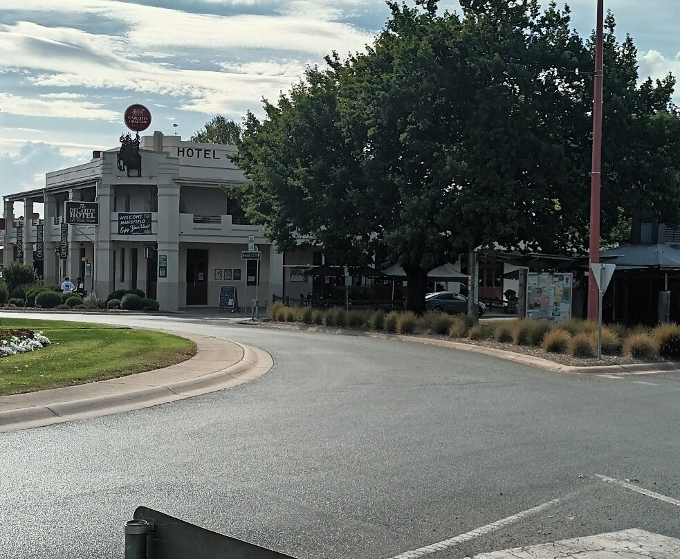 Delatite Hotel主图