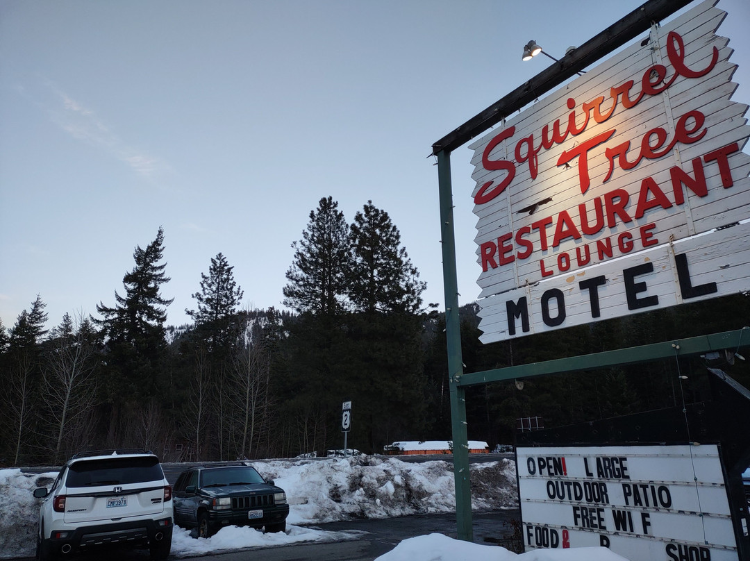 Squirrel Tree Resort主图