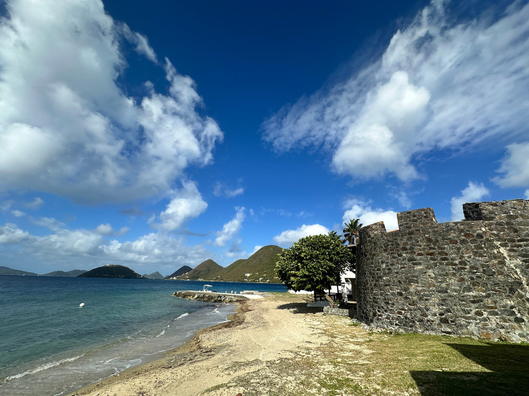 Fort Recovery Beachfront Villa & Suites主图