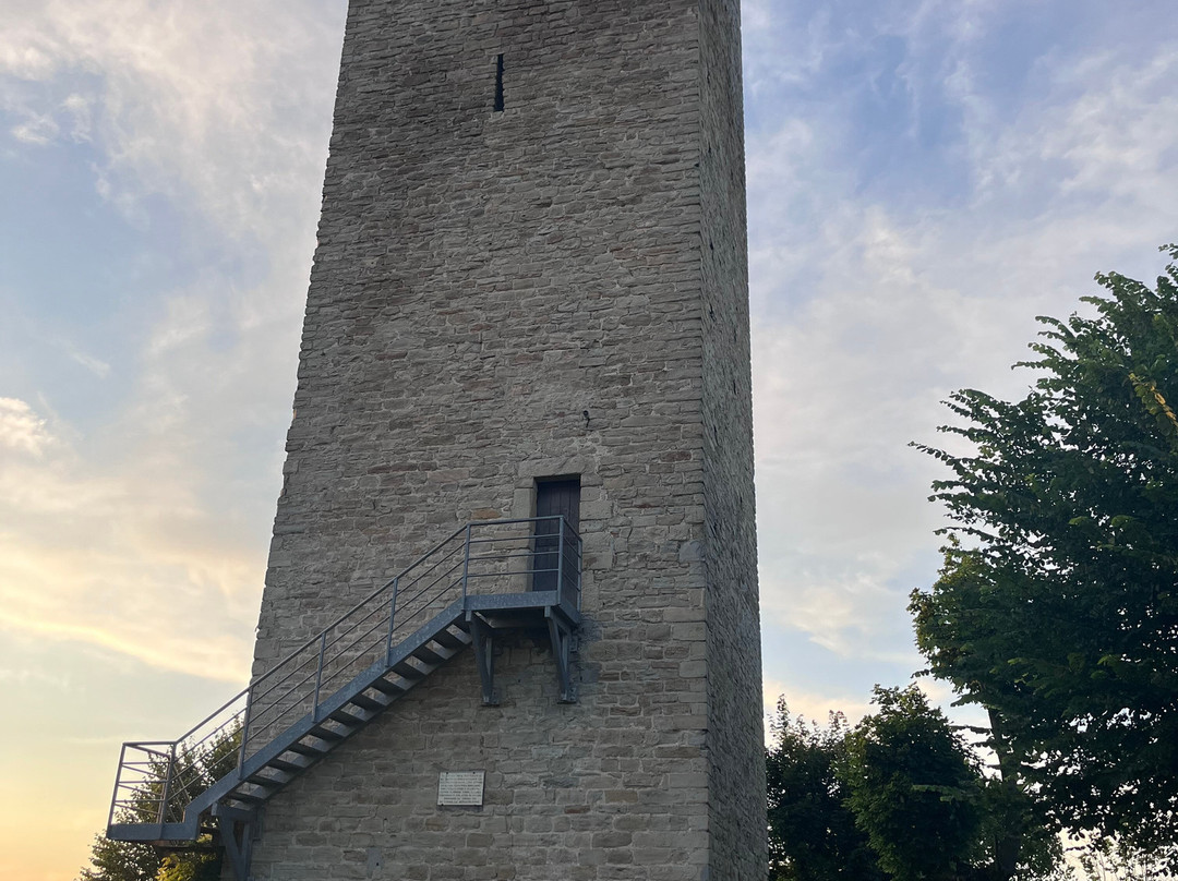 Torre景点图片