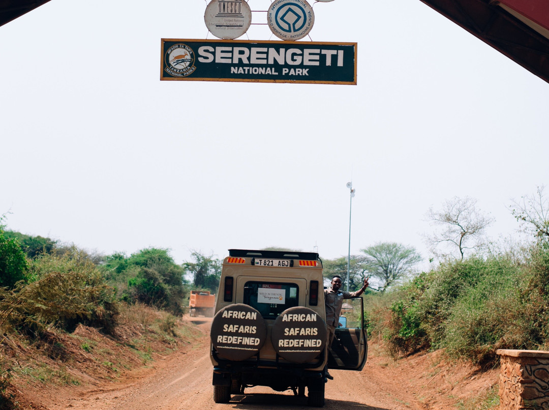 Wild Authentic Tanzania景点图片