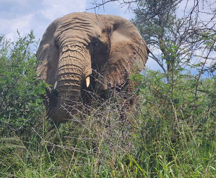 Mabalingwe Nature Reserve-贝拉贝拉必去景点