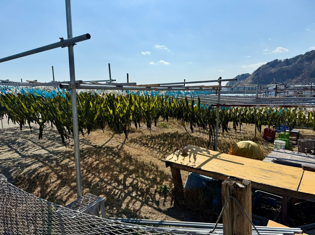 Yuigahama Beach-镰仓市必去景点
