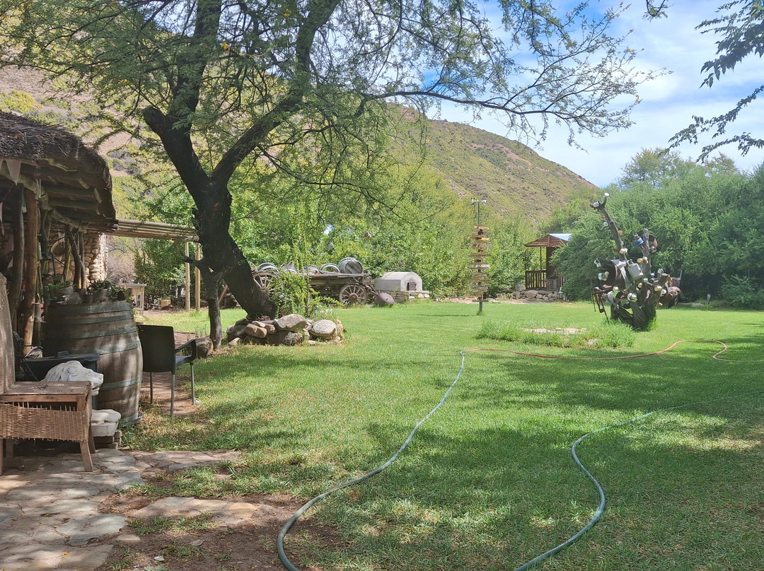 John's Tours-Prince Albert必去景点