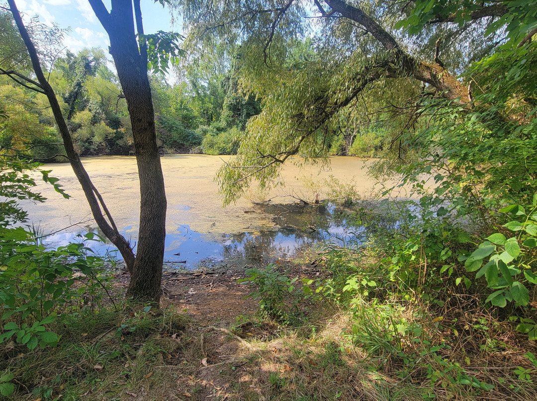 Baldpate Mountain-Titusville必去景点