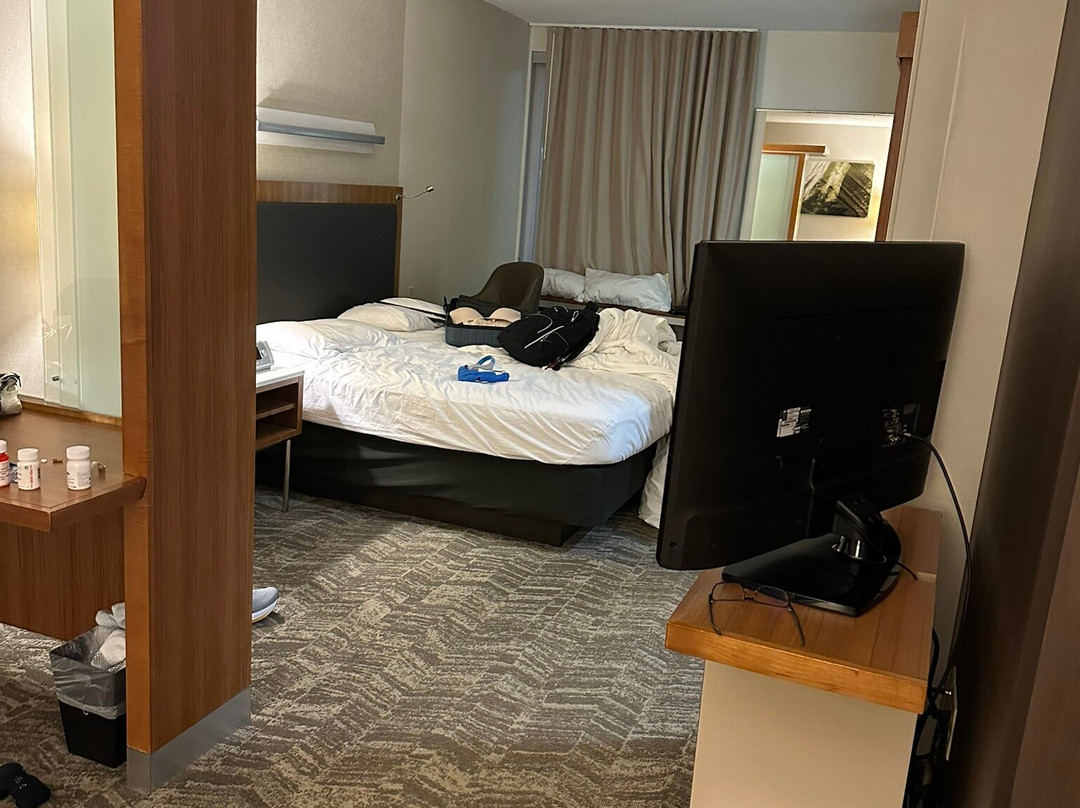 SpringHill Suites by Marriott Macon主图