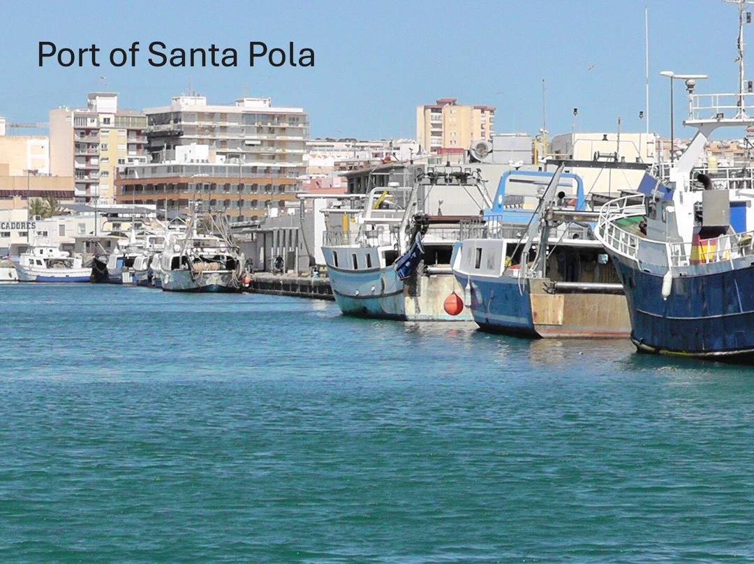 Castillo Fortaleza de Santa Pola景点图片