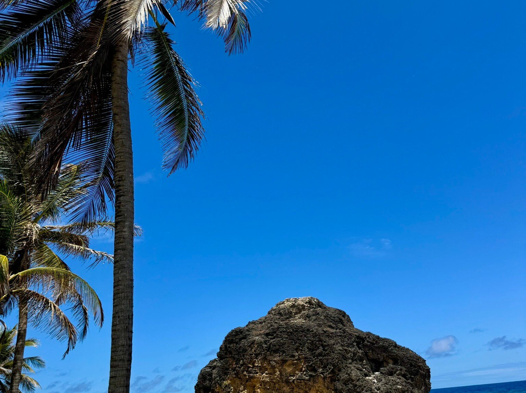 SunTours Barbados-Saint George Parish必去景点