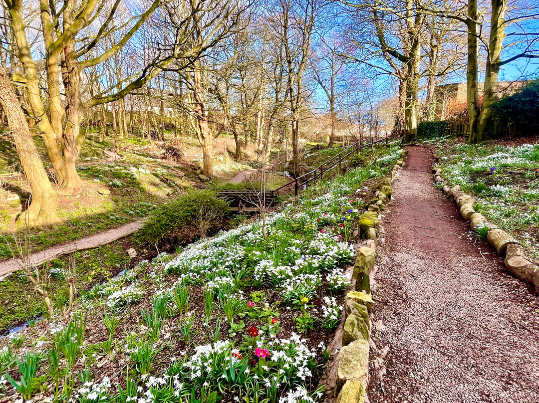 Denburn Wood-Crail必去景点