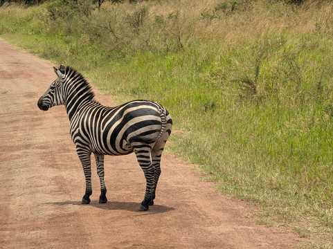 Wilson Tours Africa-吉佳利必去景点