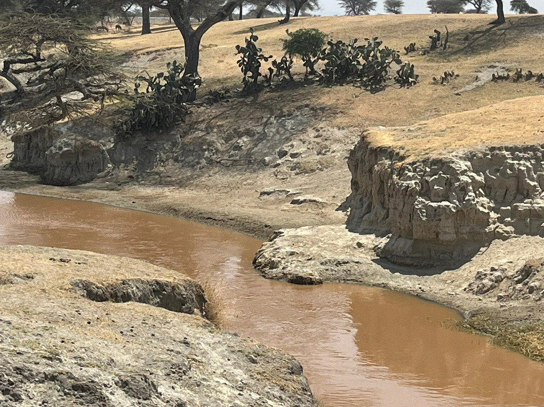 Timeless Ethiopia Touring-亚的斯亚贝巴必去景点