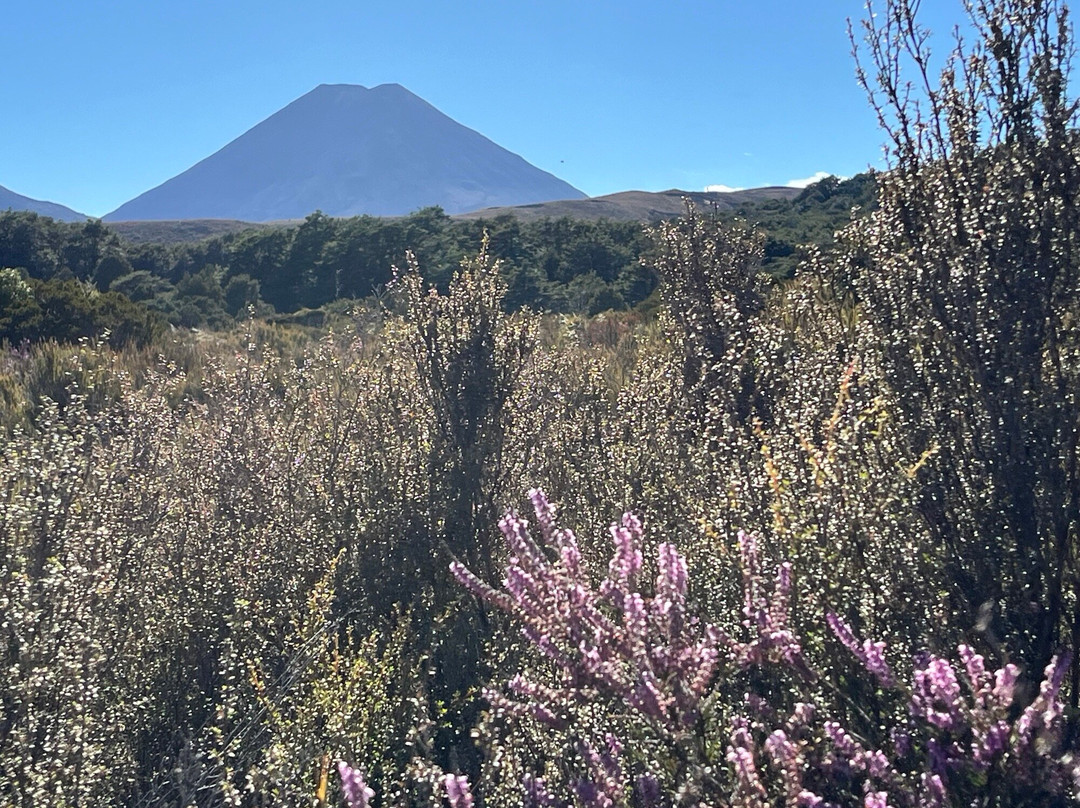 Tongariro National Park Visitor Centre (Whakapapa Visitor Centre)景点图片