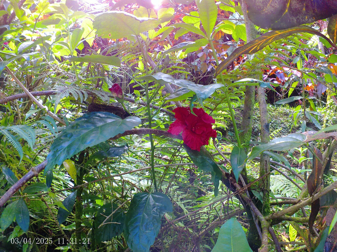 Wacky Rollers-罗索必去景点