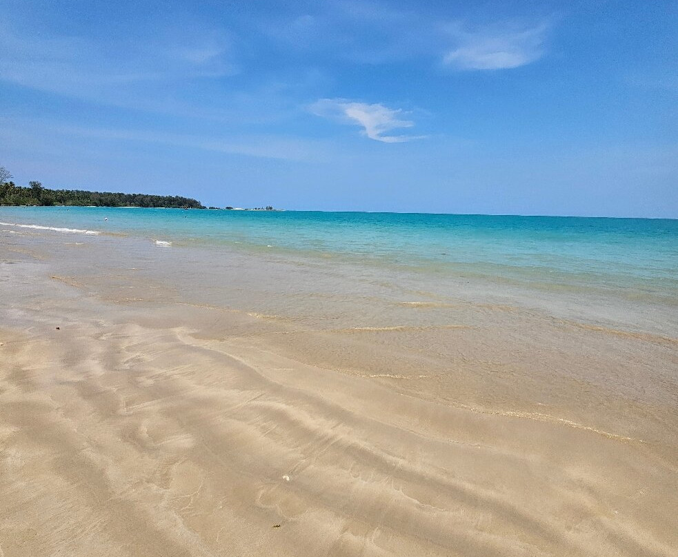 Coconut Beach景点图片