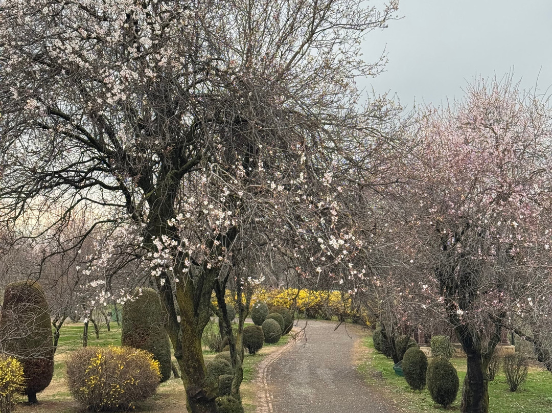 Kashmir Travels-斯利那加必去景点
