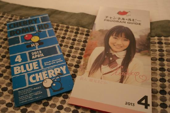 Rembrandt Style东京西葛西主图