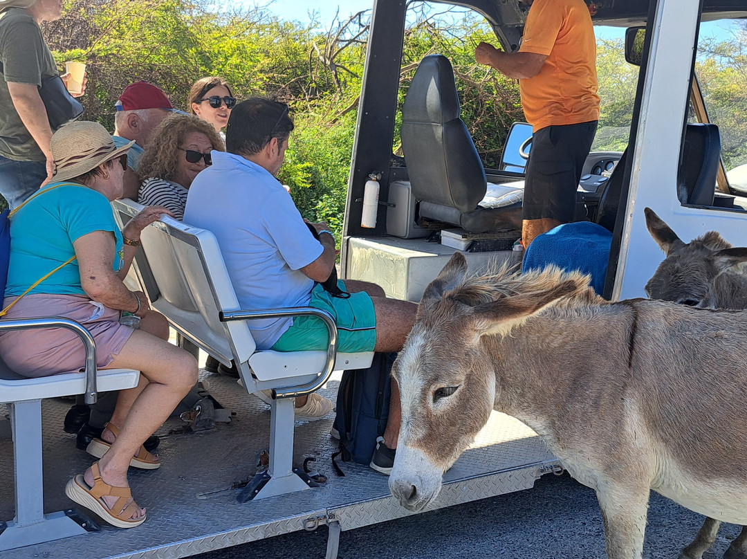 Island Trams Limited-Grand Turk必去景点