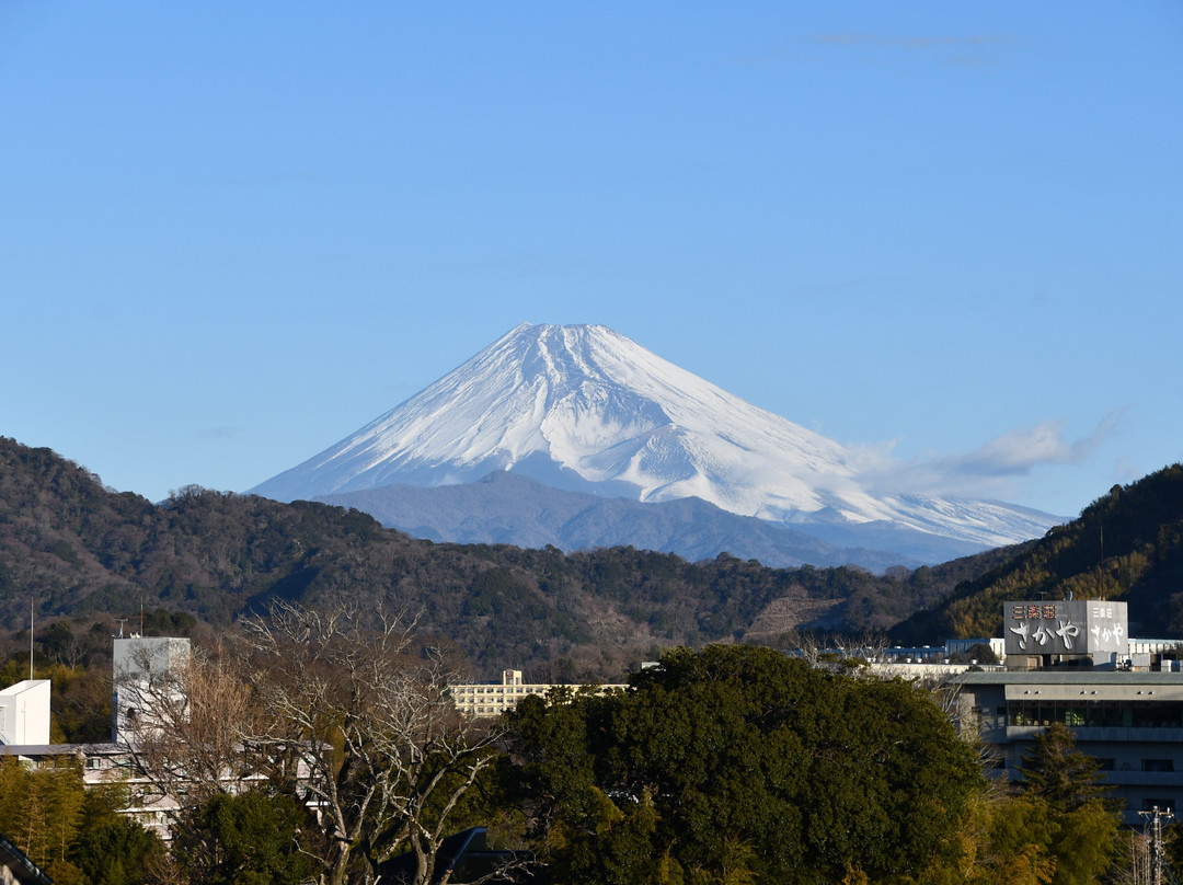 新八景园酒店主图