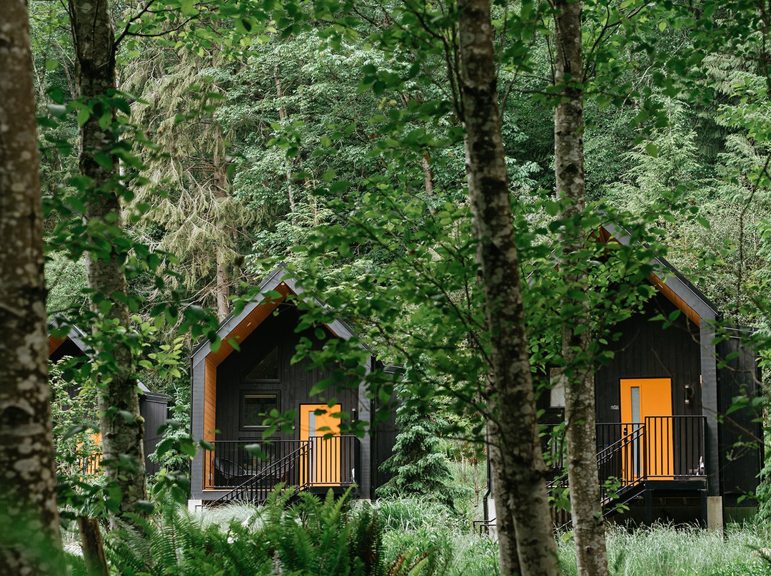 Lions Bay酒店住宿-Nectar Yoga