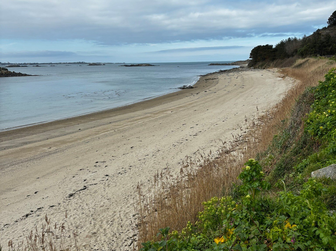 Shell Beach-Herm必去景点
