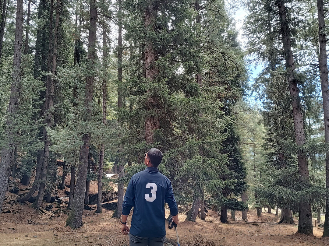 The Woodswalk Treks And Tours-帕哈甘必去景点