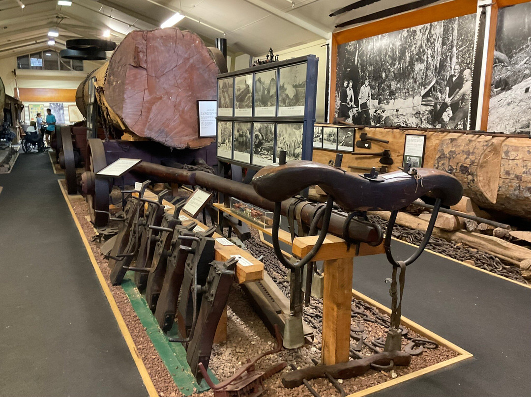 The Kauri Museum-Matakohe必去景点