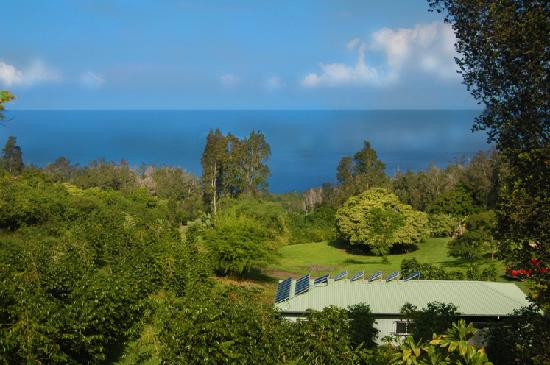 Kona Rainforest Coffee Guesthouse主图