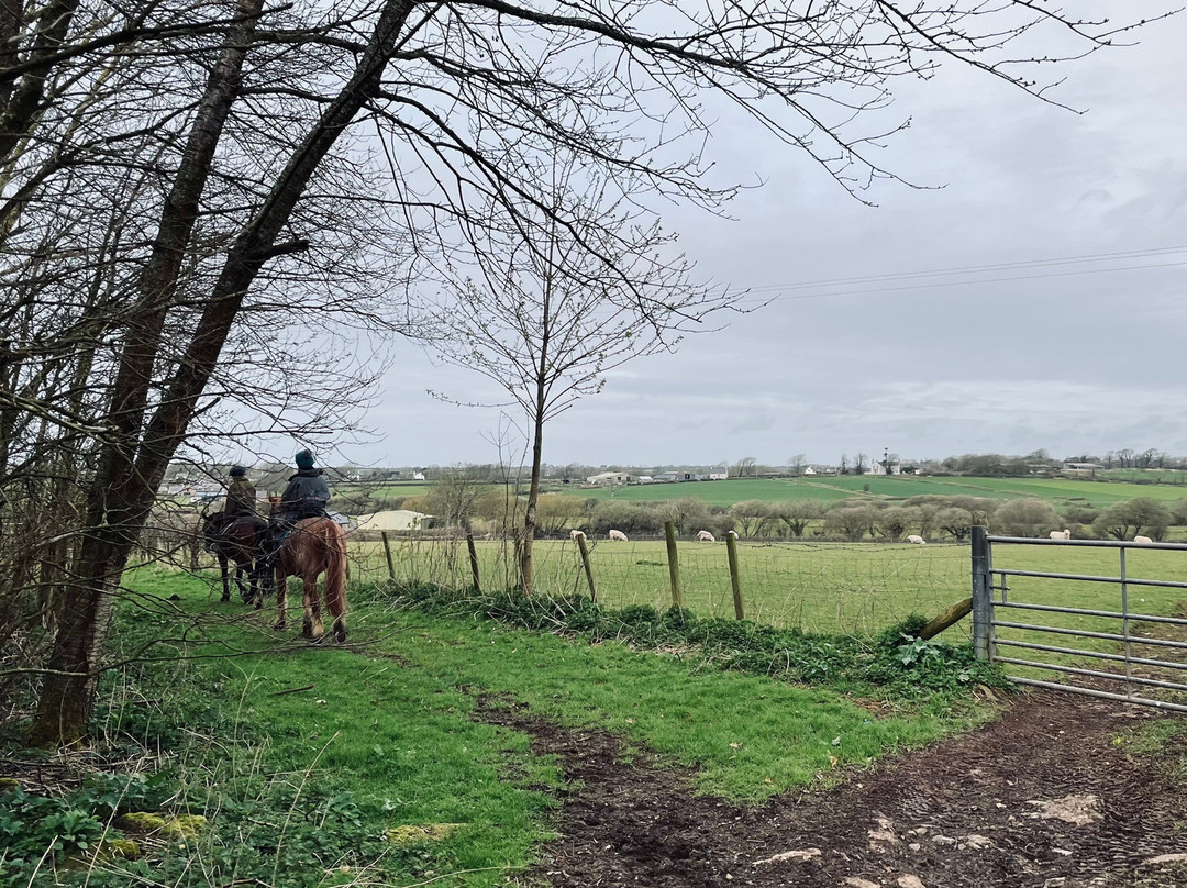 Anglesey Riding Centre景点图片