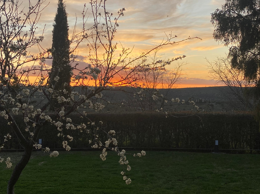 El Cigarral del Pintor主图