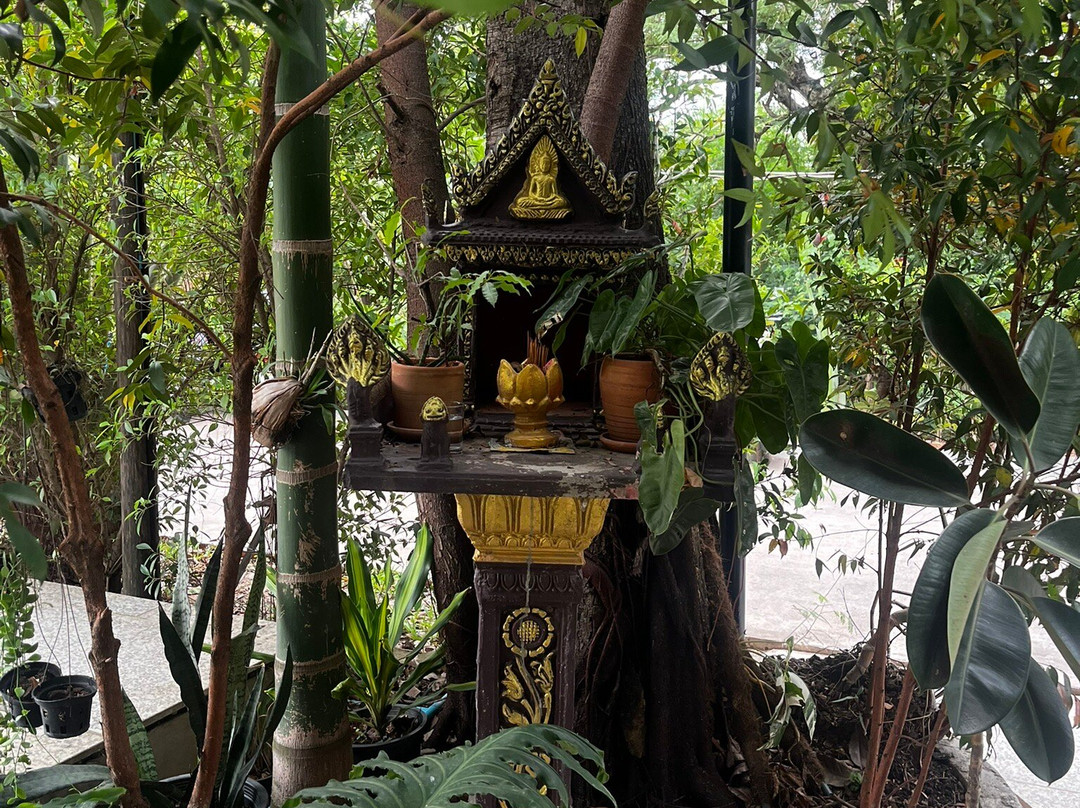 Kampot Sweet Boutique主图