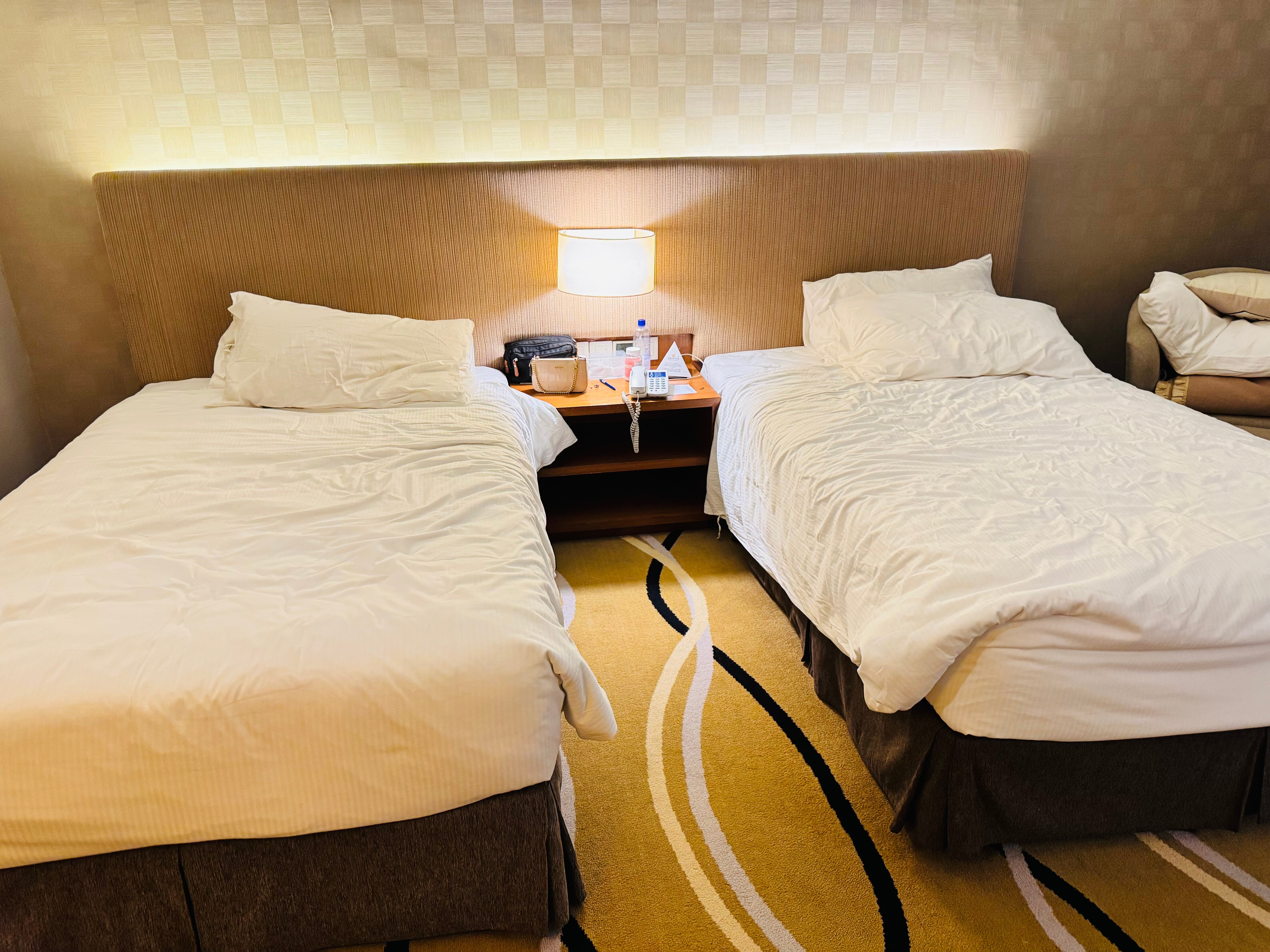 关丹勒捷尼酒店-客卧