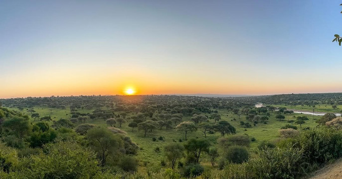 Tanzanite Trekking And Safaris-莫西必去景点