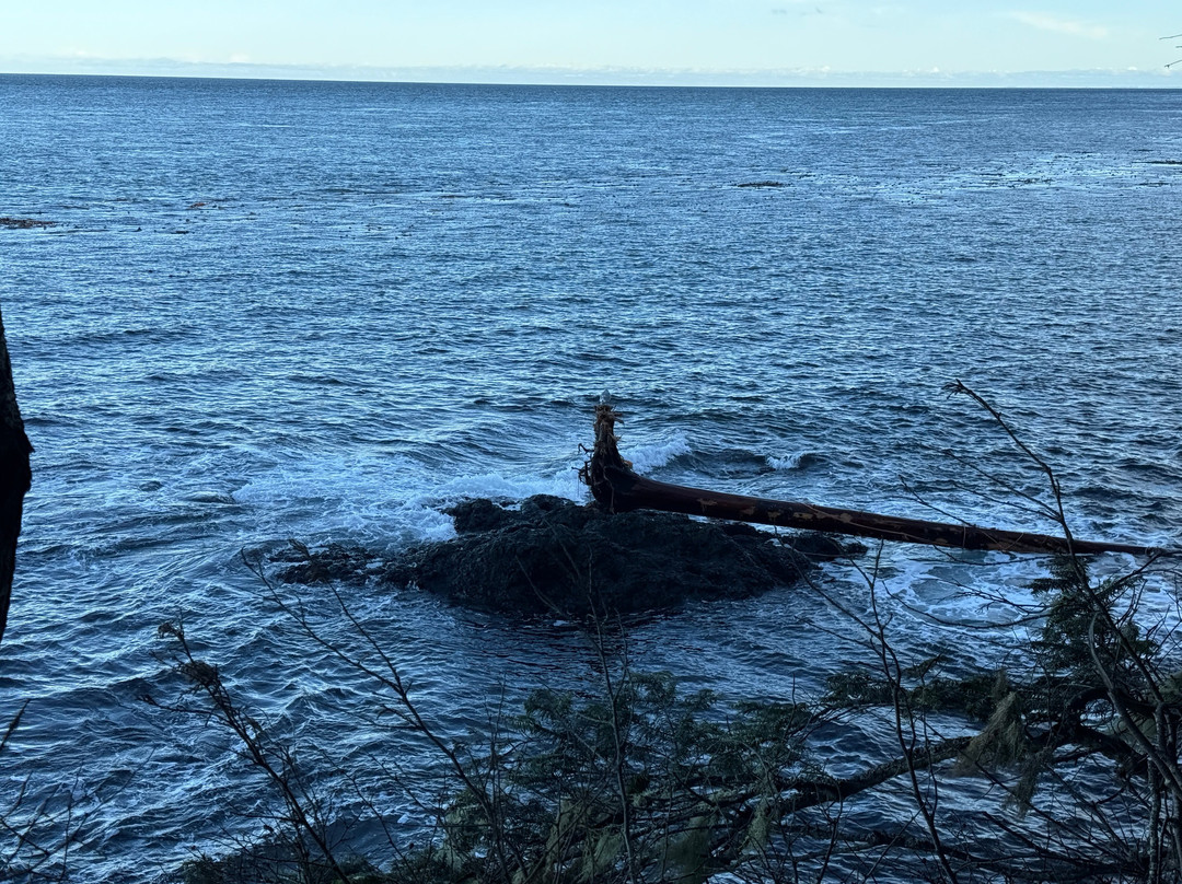 Salt Creek Recreation Area-安吉利斯港必去景点