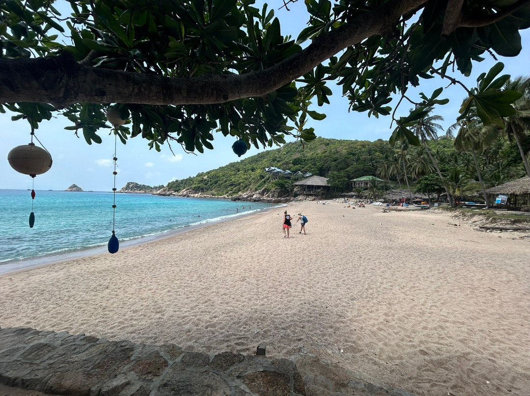 Free Beach To Shark Bay-涛岛必去景点