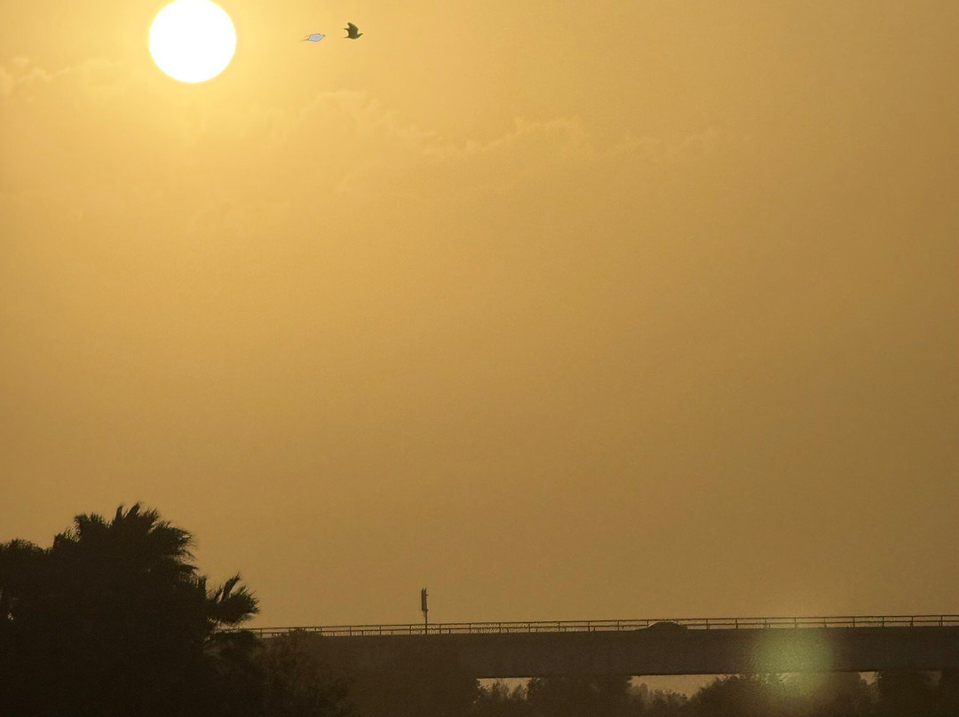 Gateway Park-尤马必去景点