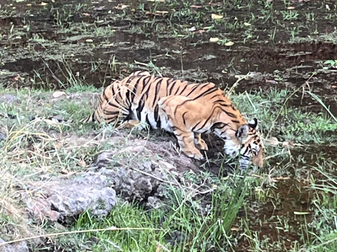 Sahil Tours And Travels-Umaria必去景点