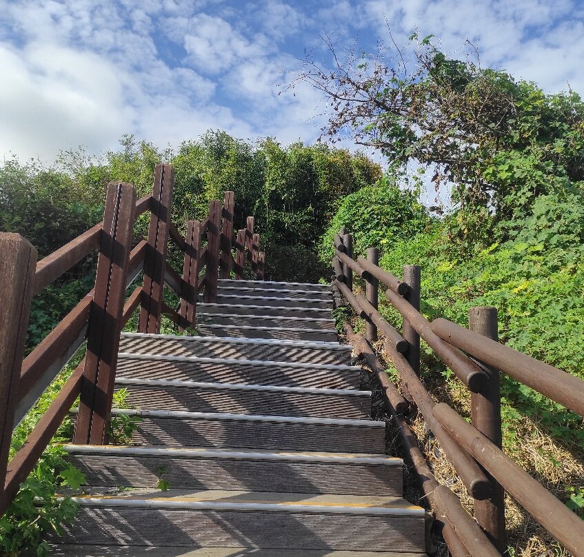 Igidae Park-釜山必去景点