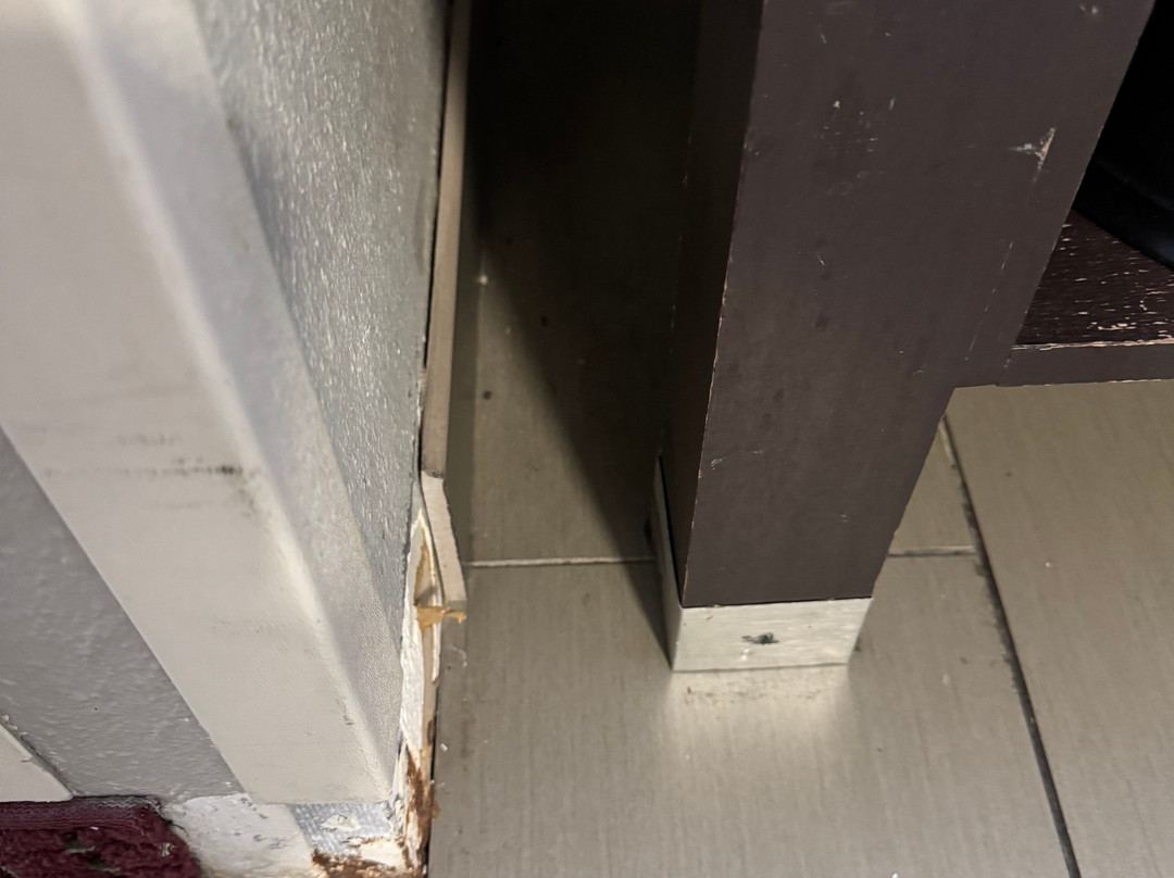 La Quinta Inn & Suites by Wyndham O'Fallon, IL - St. Louis主图