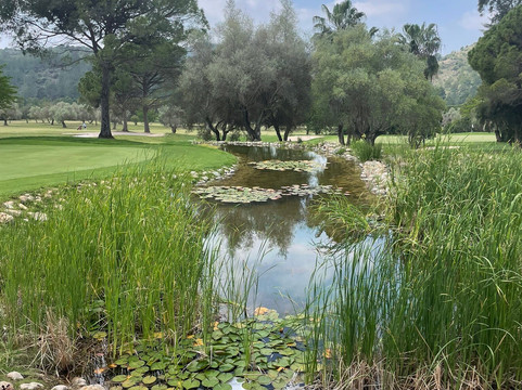 Mediterráneo Golf-Borriol必去景点