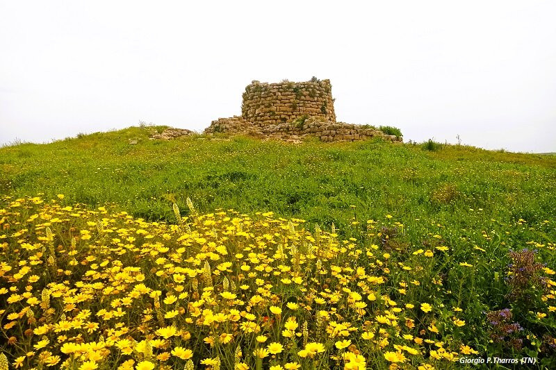Nuraghe Piscu-Suelli必去景点
