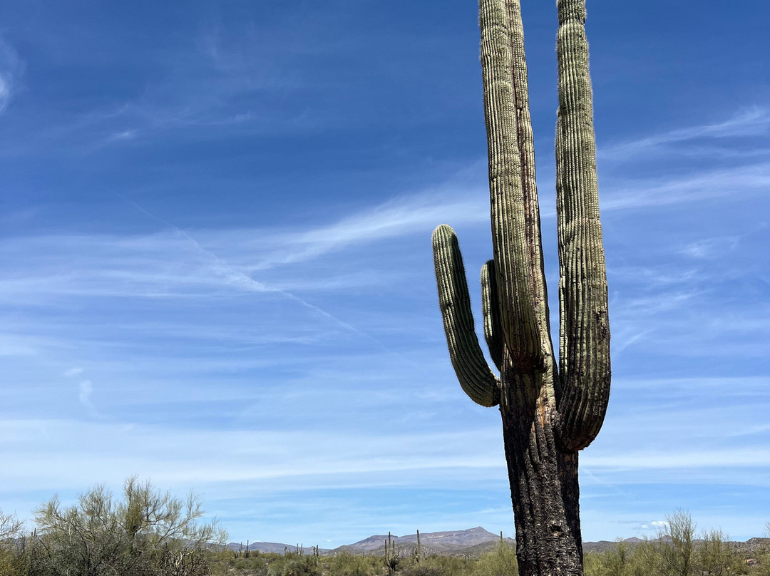 Wild West Jeep Tours-斯科茨代尔必去景点