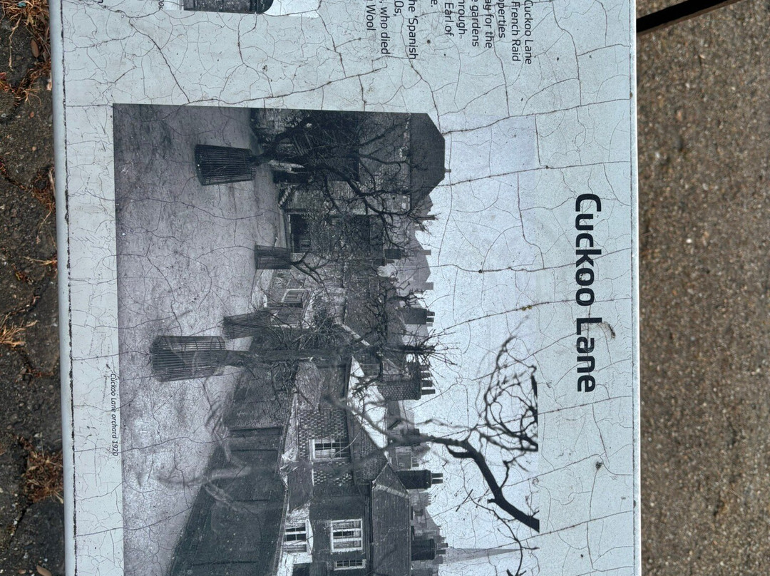 Southampton Town Walls景点图片